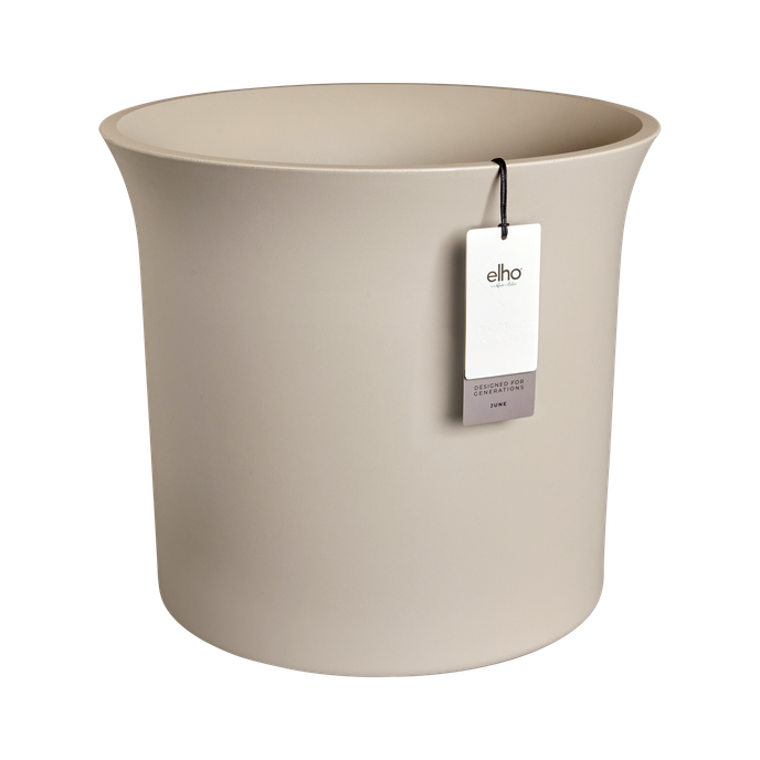 june tulip 47cm balanced beige